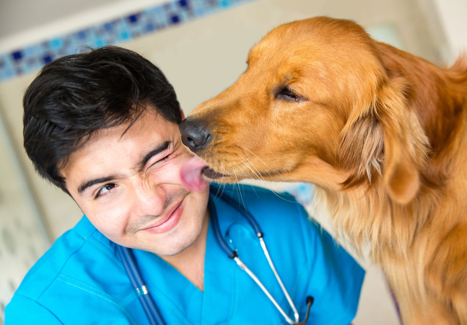 Patient Advantage helps patients pay for Pet Care through a variety of lending programs.